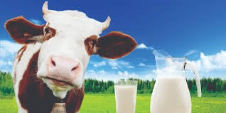 MAXDoor for Dairy Farm